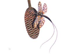 Teloceras cf. Frechi Modellzeichnung einer fossilen Libelle 